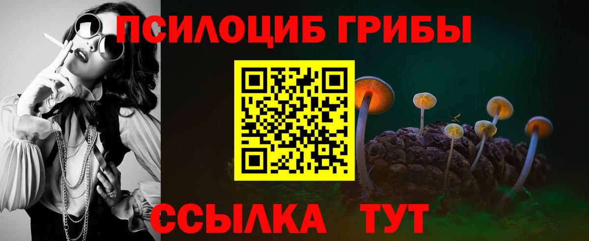 Псилоцибиновые грибы Psilocybine cubensis Верхняя Салда